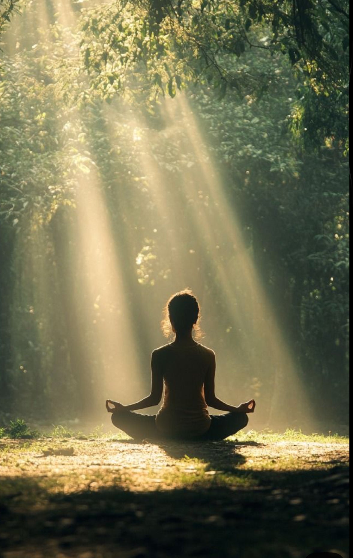 Banho de floresta: o ritual que silência o mundo e desperta a pele