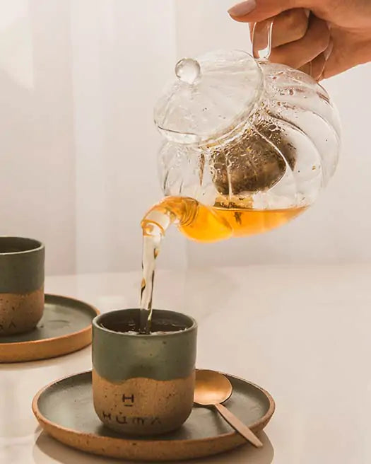 Infusão Bem-Estar Humà
