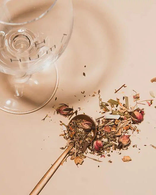 Infusão Bem-Estar Humà